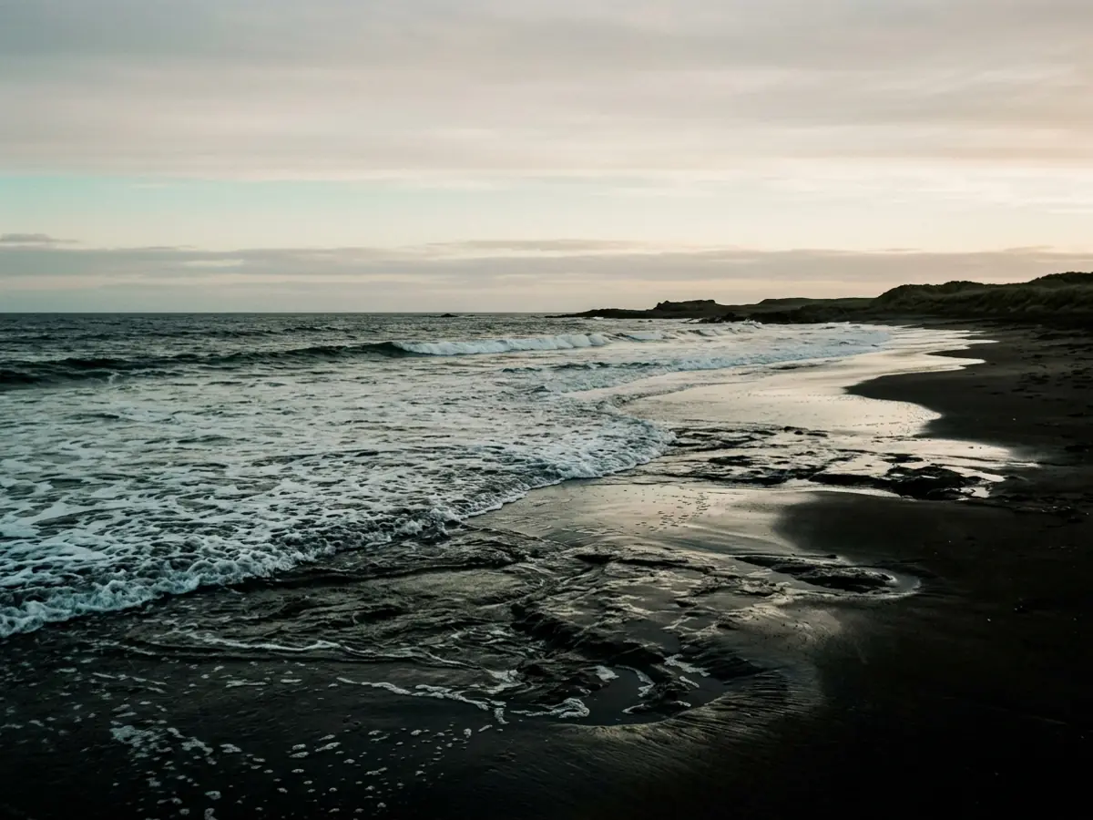 A wet shoreline at dawn, shallow water drawing back over dark sand.