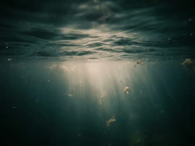 Dark water seen from just below the surface, daylight breaking through it in pale shafts.