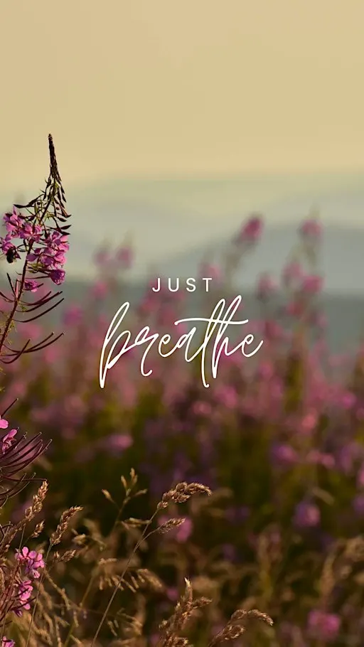 Listing photo for Oh I Breathe Live Breathwork Sessions