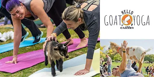 Listing photo for 9:30 am Goat Yoga at the L.A. Arboretum