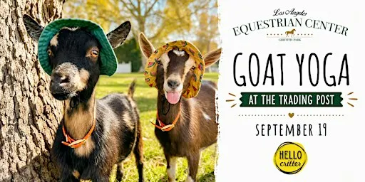 Listing photo for Goat Yoga at the LA Equestrian Center in Burbank