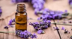 Listing photo for Aromatherapy Sound Bath