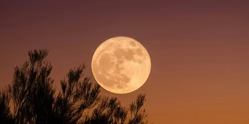 Listing photo for Full Moon Sound Healing