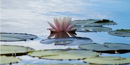 Listing photo for 30 Minute Lunchtime Guided Meditation