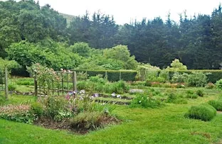 Listing photo for Fall Daylong Yoga & Meditation Retreat at Green Gulch Farm & Zen Center